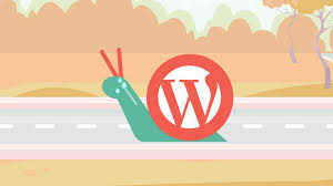 کند شدن سایت وردپرس!